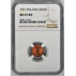 1 grosz 1931 - NGC MS67 RD
