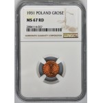 1 grosz 1931 - NGC MS67 RD