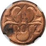 1 grosz 1934 - NGC MS63 RD - RZADKI