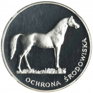 100 złotych 1981 Ochrona Środowiska Koń - NGC PF69 CAMEO