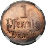 Free City of Danzig, 1 pfennige 1923 - NGC PF66 BN - PROOF