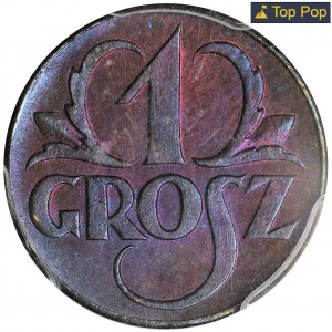 PRÓBA, 1 grosz 1923 - PCGS SP66 BN