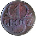 PRÓBA, 1 grosz 1923 - PCGS SP66 BN