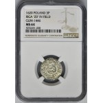 Sigismund III Vasa, 3 Polker Riga 1620 - NGC MS64