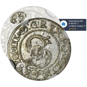 Sigismund III Vasa, Schilling 1596 - NGC MS62 - VERY RARE