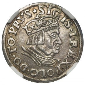 Sigismund I the Old, 3 Groschen Danzig 1536 - NGC AU58