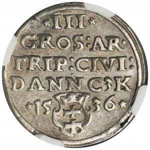 Sigismund I the Old, 3 Groschen Danzig 1536 - NGC AU58