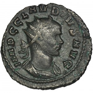 Roman Imperial, Claudius II Gothicus, Antoninianus - RARE