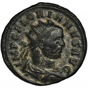 Roman Imperial, Florian, Antoninianus - RARE