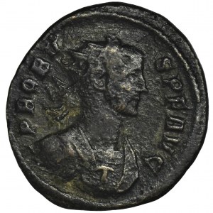 Roman Imperial, Probus, Antoninianus