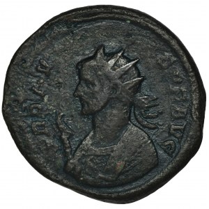 Cesarstwo Rzymskie, Probus, Antoninian - RZADKI
