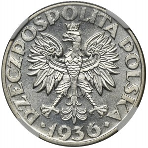 Żaglowiec, 5 złotych 1936 - NGC MS63 - PIĘKNY