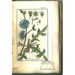 (ZORN Johannes), Icones plantarum medicinalium.