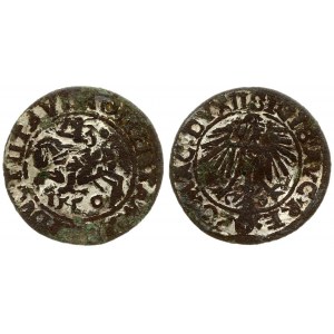 Lithuania 1/2 Grosz 1550 Vilnius. Sigismund II Augustus (1545-1572) - Lithuanian coins 1550 Vilnius. Averse: Chase...