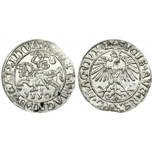 Lithuania 1/2 Grosz 1550 Vilnius. Sigismund II Augustus (1545-1572) - Lithuanian coins 1550 Vilnius...
