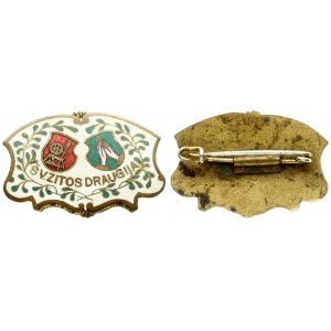Lithuania St Zita Society Badge (1905) 20 century . The society was founded in 1905. In Vilnius 1907. Bronze enamel...