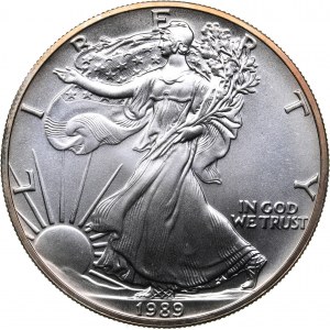USA 1 dollar 1989