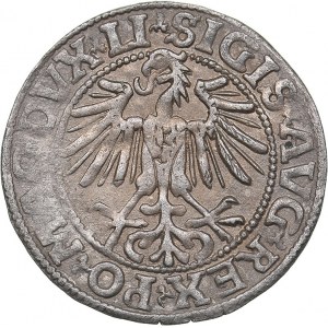 Lithuania 1/2 grosz 1549 - Sigismund II Augustus (1545-1572)