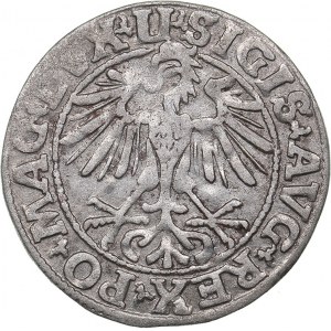 Lithuania 1/2 grosz 1550 - Sigismund II Augustus (1545-1572)