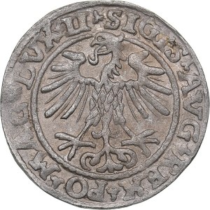 Lithuania 1/2 grosz 1552 - Sigismund II Augustus (1545-1572)