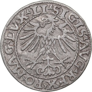 Lithuania 1/2 grosz 1553 - Sigismund II Augustus (1545-1572)