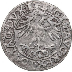 Lithuania 1/2 grosz 1554 - Sigismund II Augustus (1545-1572)