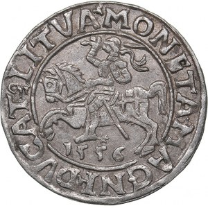 Lithuania 1/2 grosz 1556 - Sigismund II Augustus (1545-1572)
