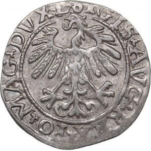 Lithuania 1/2 grosz 1558 - Sigismund II Augustus (1545-1572)