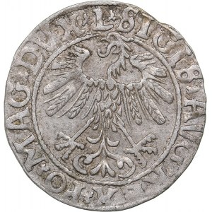 Lithuania 1/2 grosz 1558 - Sigismund II Augustus (1545-1572)