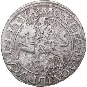 Lithuania 1/2 grosz 1564 - Sigismund II Augustus (1545-1572)