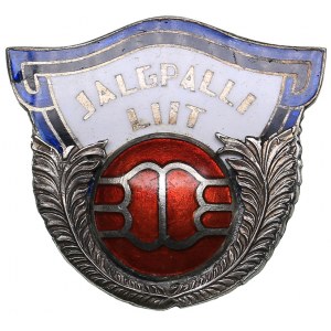 Estonia badge of the Football Association