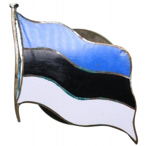 Estonia a badge with a flag