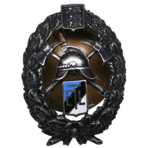 Estonia badge Estonian Fire Brigade Association
