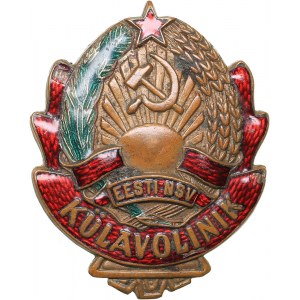 Russia - USSR badge ESSR Village Commissioner