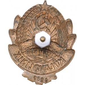 Russia - USSR badge ESSR Village Commissioner