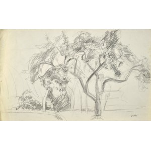 Wojciech WEISS (1875-1950), Jabłonie w sadzie, 1905