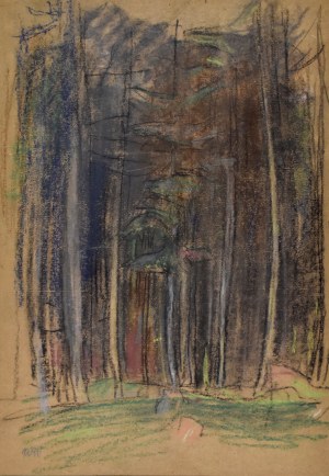 Wojciech WEISS (1875-1950), Wnętrze lasu
