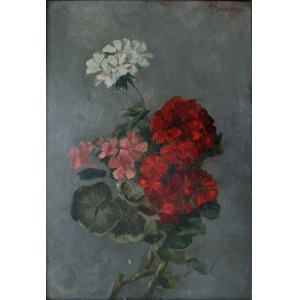 Maria Koźniewska (1875-1968), Pelargonie