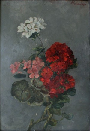 Maria Koźniewska (1875-1968), Pelargonie
