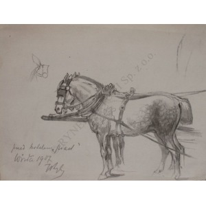 Tadeusz Rybkowski (1848-1926), Zaprzęg przed hotelem Piast w Wiśle (1907)