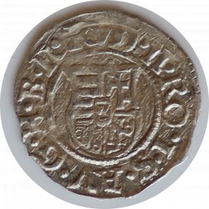 Denar 1596