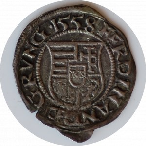 Denar 1558