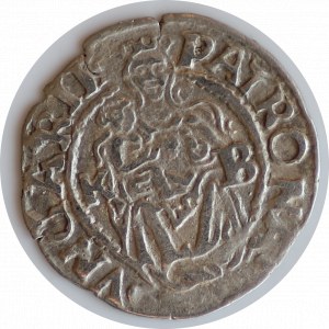 Denar 1549