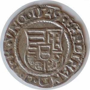 Denar 1549