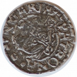 Denar 1572