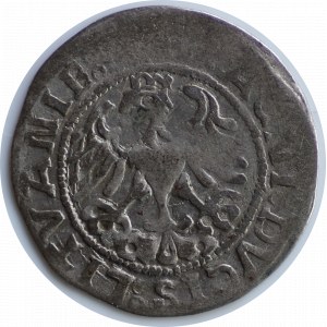 Zygmunt I Stary, półgrosz 1519, Wilno