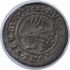 Zygmunt I Stary, półgrosz 1513, Wilno