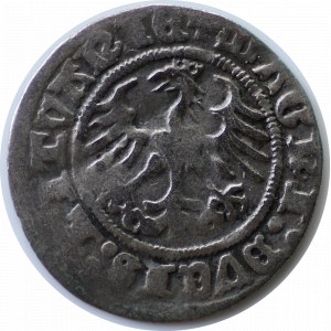 Zygmunt I Stary, półgrosz 1511, Kraków