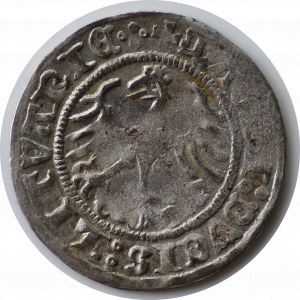 Zygmunt I Stary, półgrosz 1513, Wilno