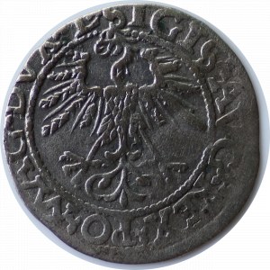 Zygmunt II August, półgrosz 1562, Wilno